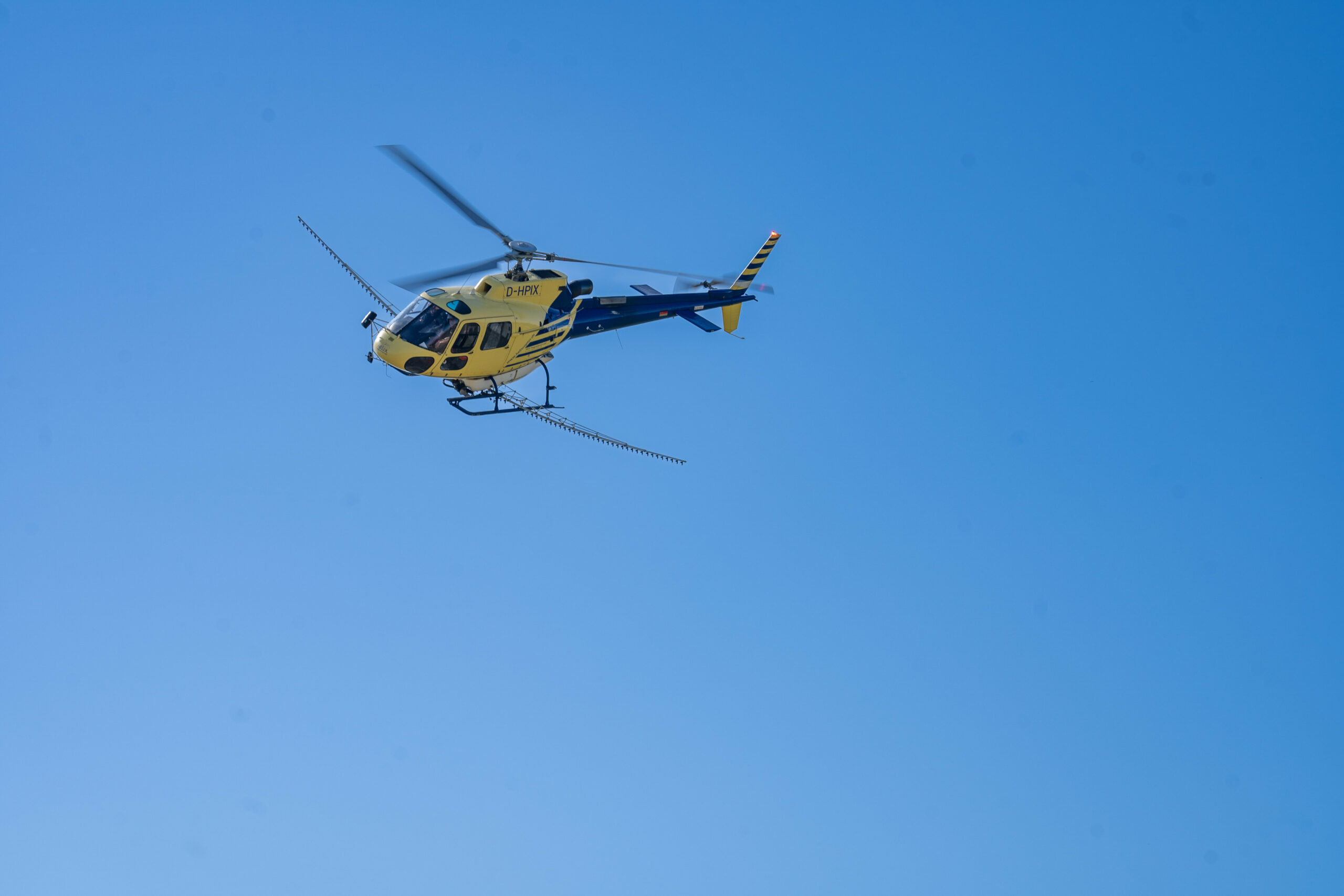 Einr Mehrzweckhubschrauber im Einsatz gegen den Eichenprozessionsspinner (Symbolfoto).