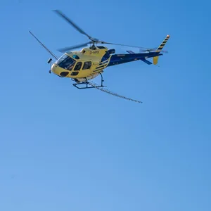 Einr Mehrzweckhubschrauber im Einsatz gegen den Eichenprozessionsspinner (Symbolfoto).