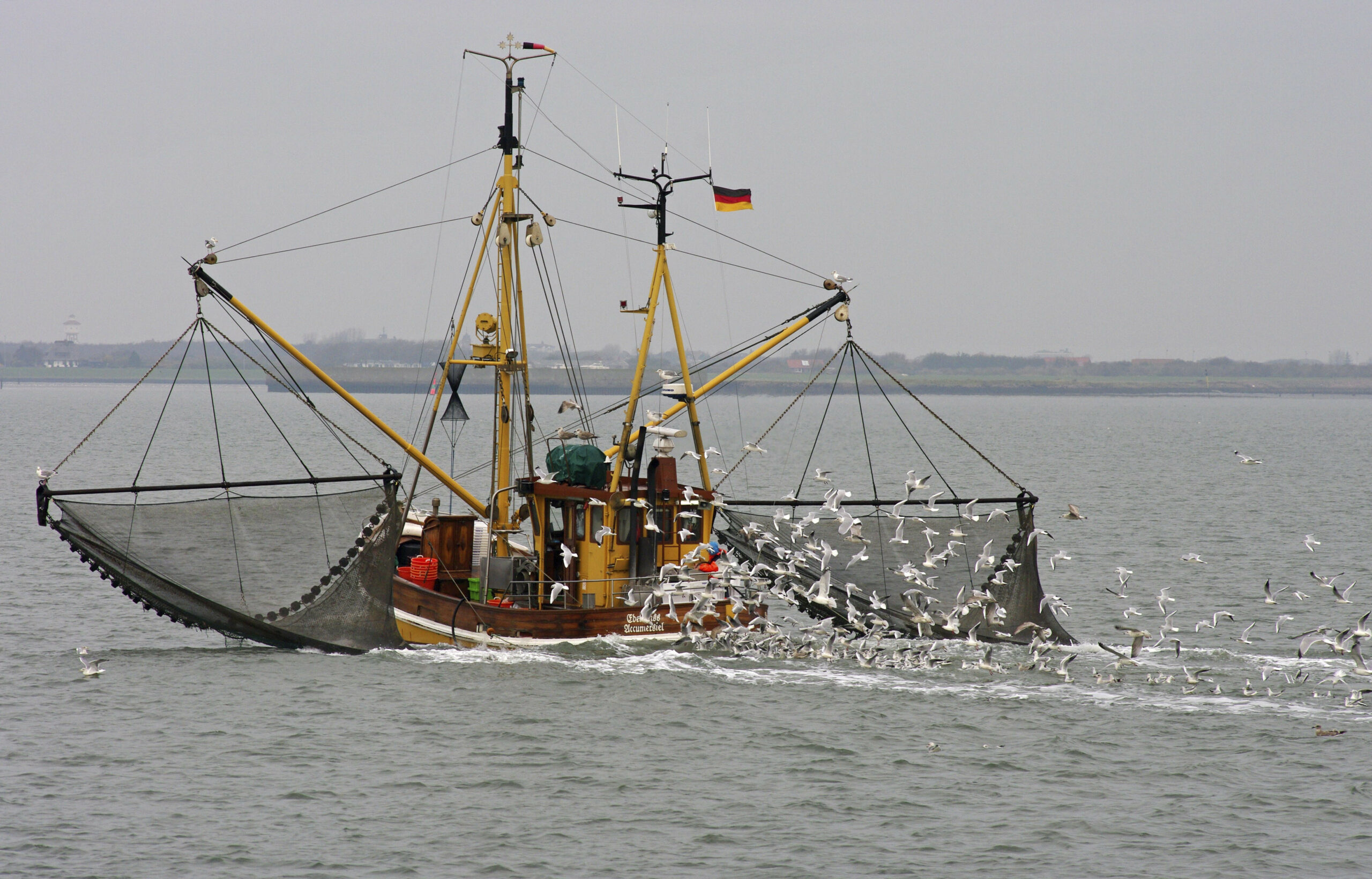 Ein Krabbenkutter in der Nordsee.
