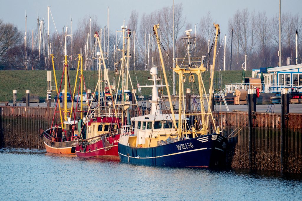 Mehrere Fischkutter liegen im Außenhafen von Hooksiel.