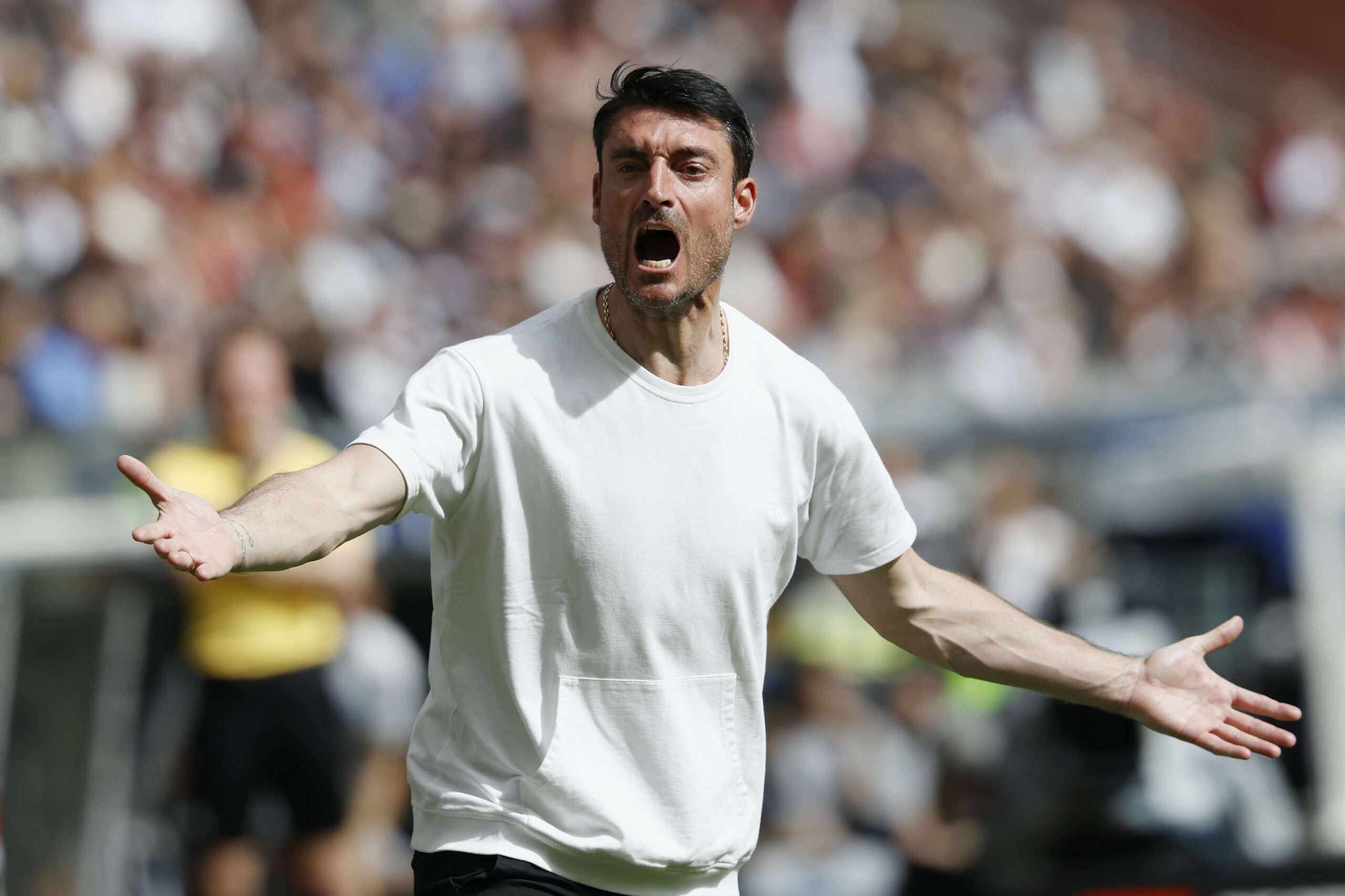 Frankfurts Trainer Albert Riera im Spiel gegen den HSV