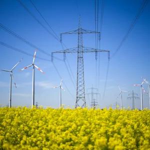 Streit um Energiewende-Pläne – Länder beraten auf Norderney