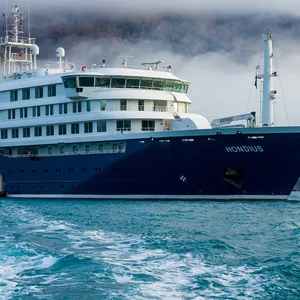 Auf dem Kreuzfahrtschiff „Hondius” ist ein ungewöhnlicher Virus ausgebrochen.