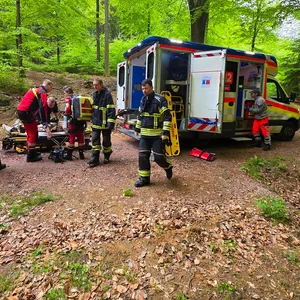 Feuerwehreinsatz in der Fischbeker Heide: Ein Mountainbiker zog sich bei einem Sturz schwere Verletzungen zu.