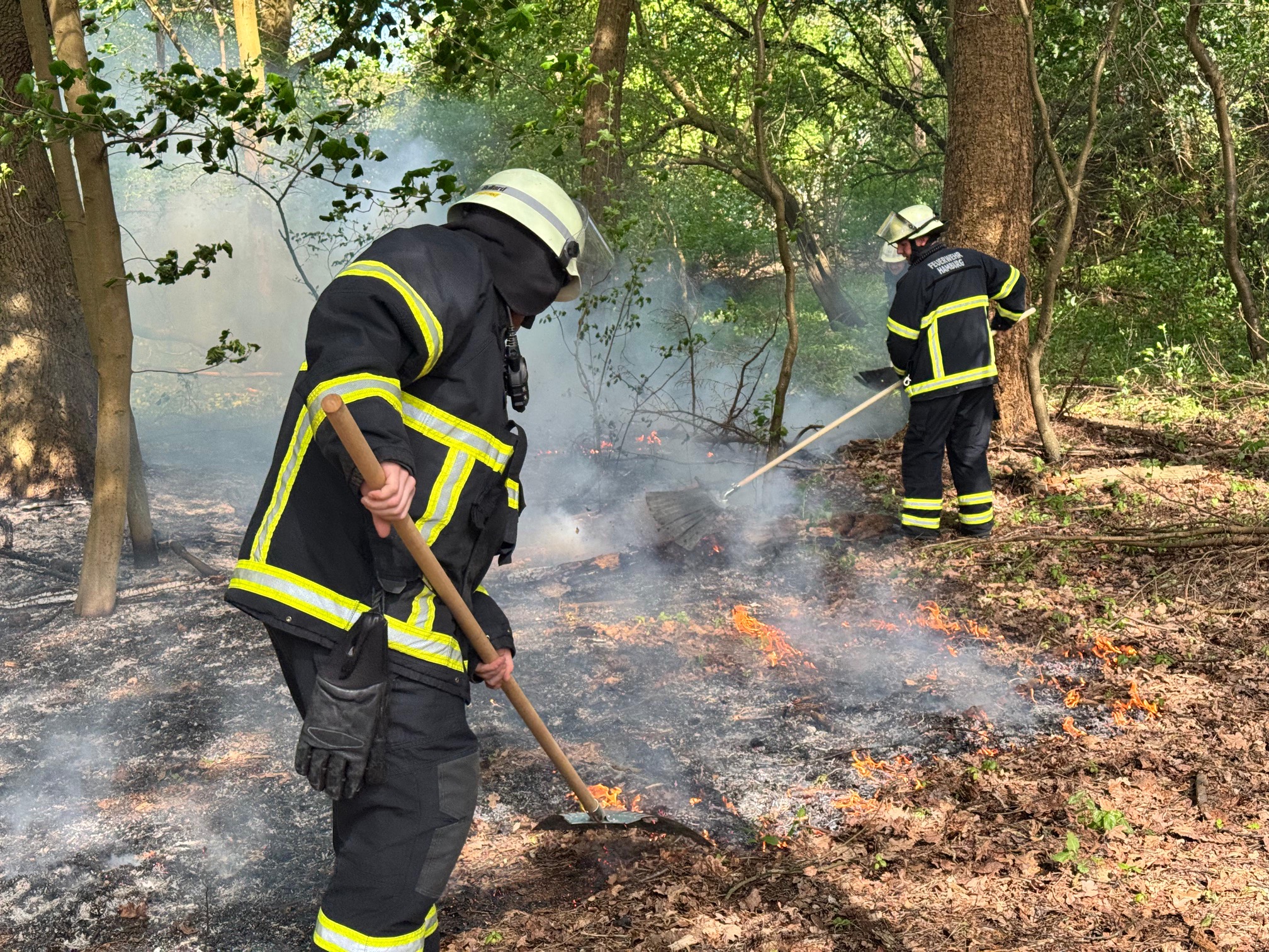 Im Naturschutzgebiet Rothsteinmoor in der Nähe des Hamburger Flughafens ist ein Feuer ausgebrochen.