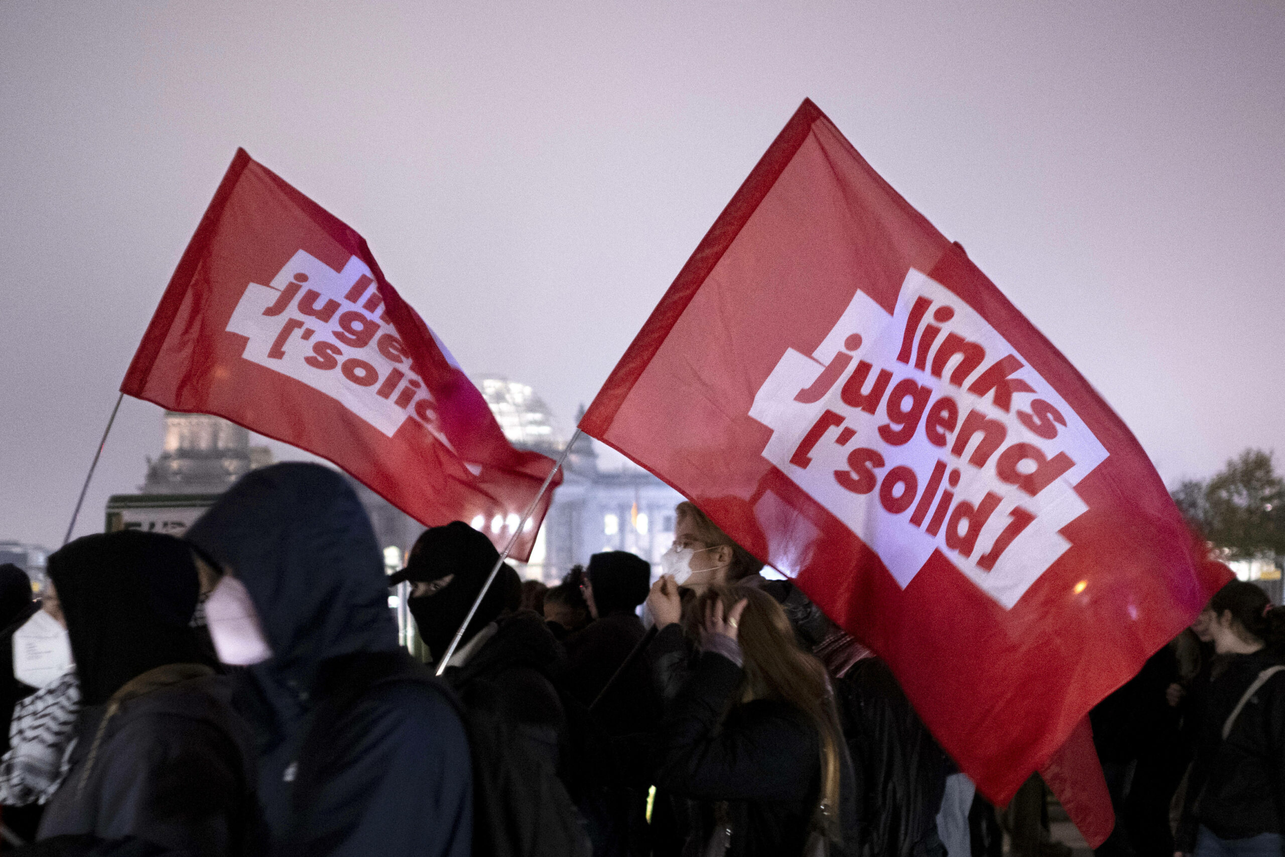 Linksjugend Fahnen
