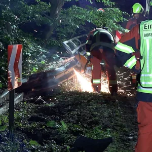 Schwerer Unfal im Kreis Pinneberg – Auto in Wald gescleudert – dann brennt es