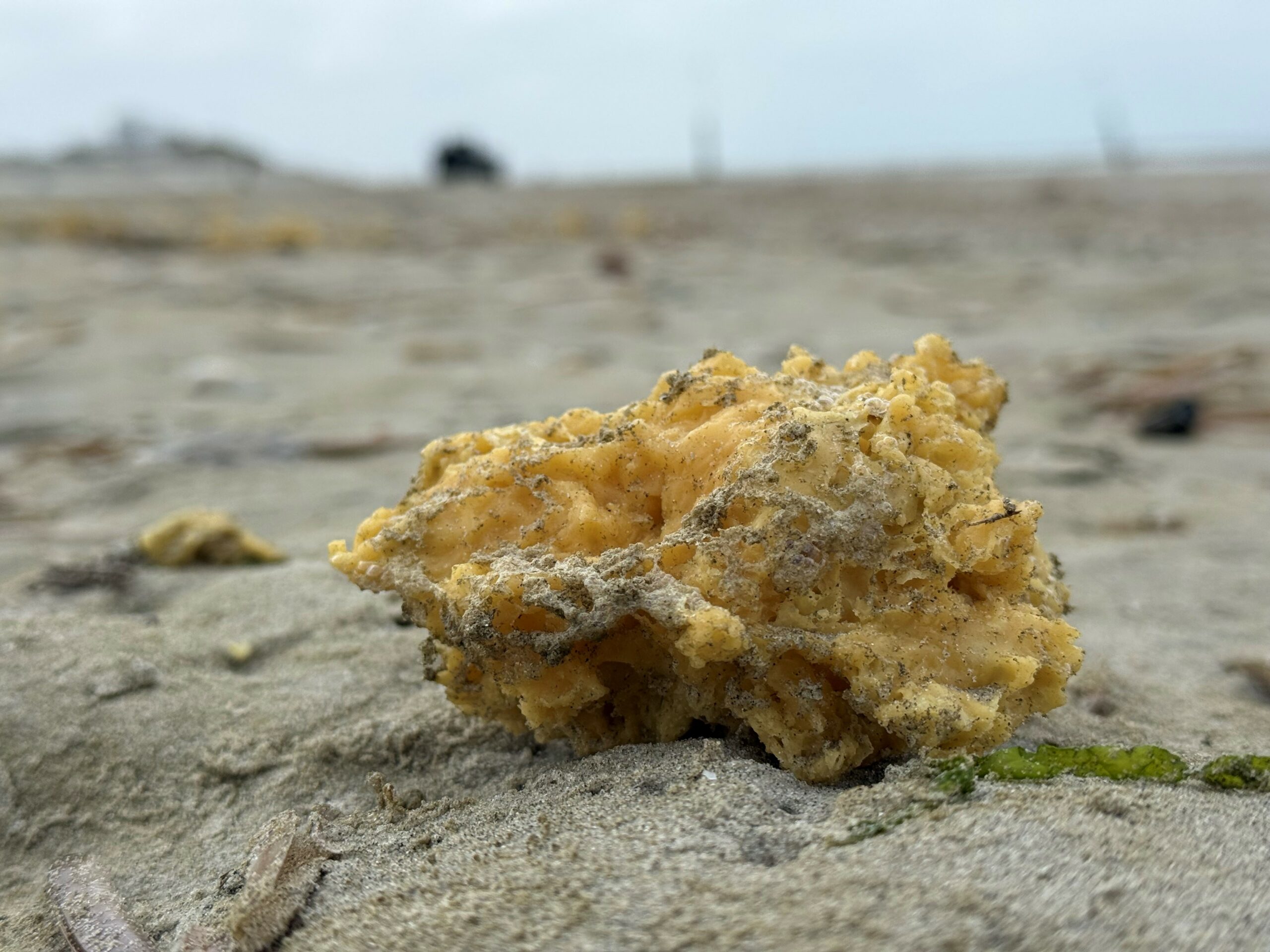 Gelber Klumpen auf Sand